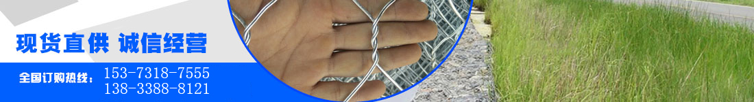 活塞密封、活塞桿密封、靜密封